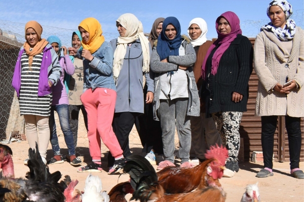 Cultivating Shalom through Sustainability